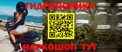 ГАЛЛЮЦИНОГЕННЫЕ ГРИБЫ Северобайкальск