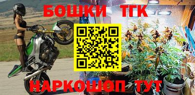 шишки Свободный
