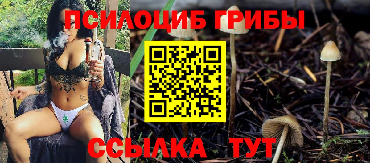Галлюциногенные грибы Cubensis Обнинск