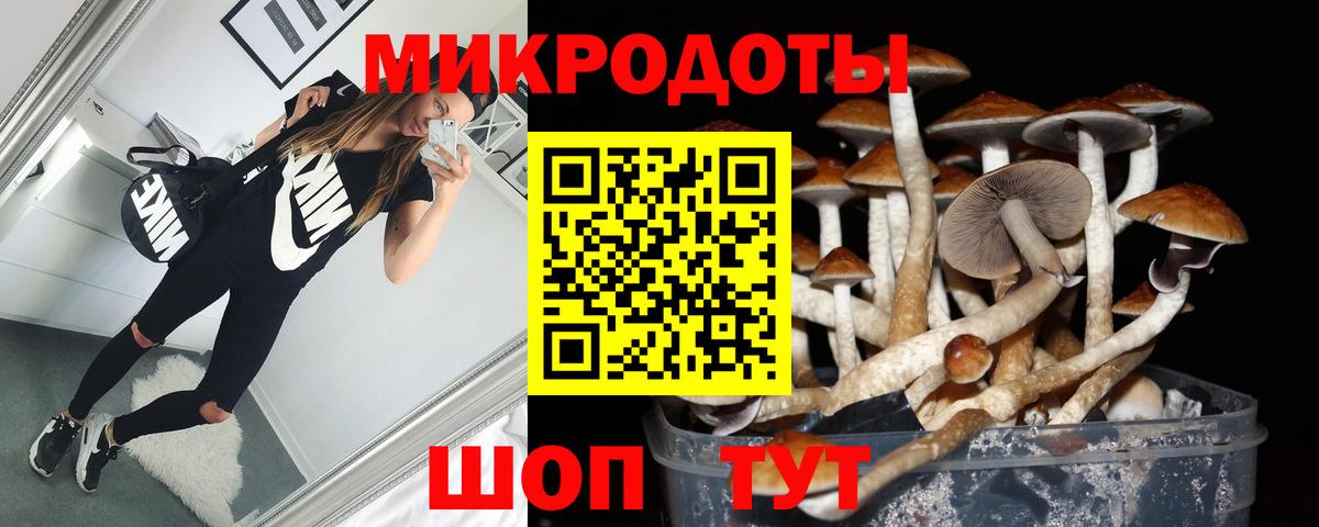 Галлюциногенные грибы мицелий  Вход с VPN  Галлюциногенные грибы Magic Shrooms  Обнинск 